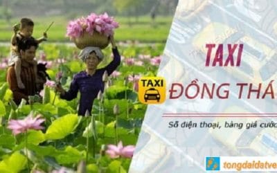 Taxi Đồng Tháp: Danh bạ số điện thoại các hãng taxi ở Đồng Tháp