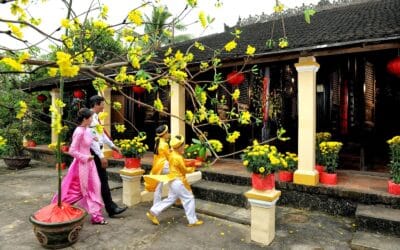 Lựa chọn phương tiện về quê tết dương lịch