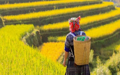 Du lịch Mù Căng Chải những điểm không thể bỏ qua trên đường đến đây