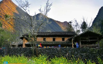 Đến Hà Giang ngắm sắc xuân trên cao nguyên đá